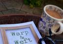 POEMS: Warp and Weft, by Kim Taplin