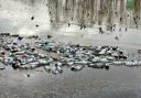 Bottles have been left floating in Hanley Road car park
