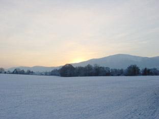 Snow photo taken in December 2010