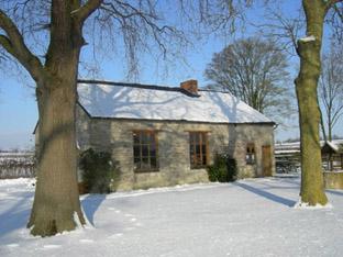 Snow photo taken in December 2010