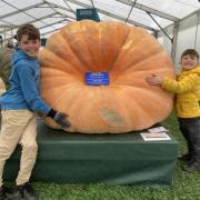 Leo and Zach Lillette, aged ten and five, were impressed by the second place pumpkin
