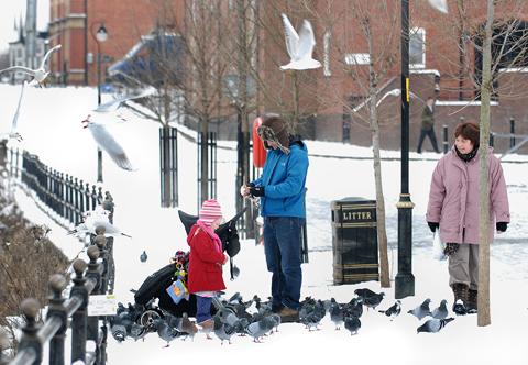 Feeding the pigeons on South Quay, Worcester