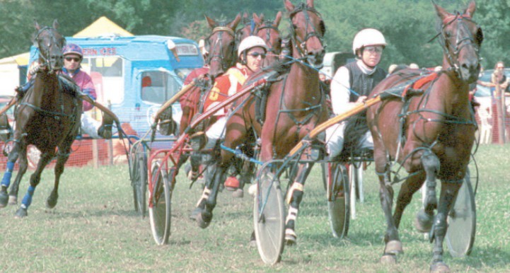 Harness racing for charity at Hanley Swan in August 2002 