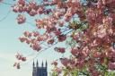 Worcester Cathedral is holding a series of recitals this autumn. Picture by John Phillpott.
