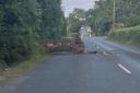 TREE: A fallen tree blocked a major road near a junction in Welland.