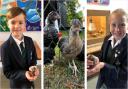 FRIENDS: Pupils from The Downs School with their new feathered friends