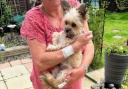 Julie Lowe and her dog Molly were violently attacked by a dog in Malvern.