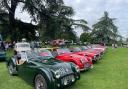 Classic cars at Pershore Plum Festival this week