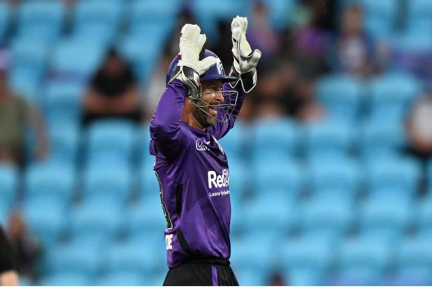 Matthew Wade will join Worcestershire CCC this summer.