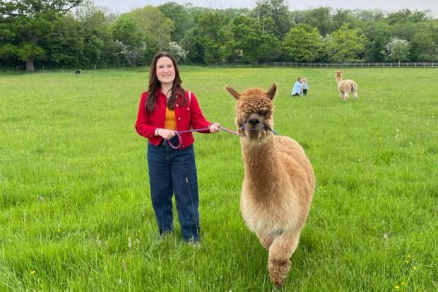 We visited a local alpaca farm and this is how it went