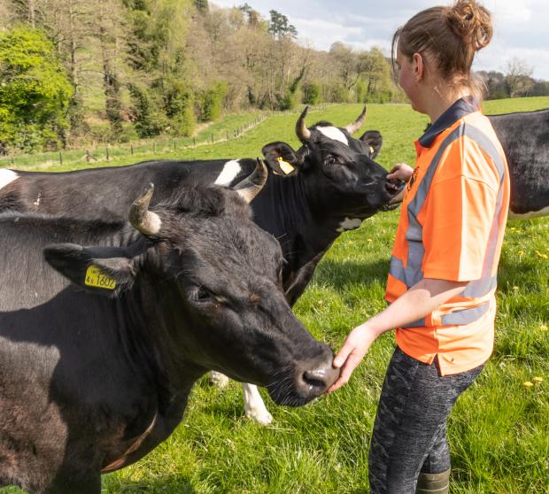 Malvern Gazette: CARE: Wild Cow Dairy is providing the milk