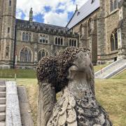 BEES: The swarm of bees. Pics. Malvern College