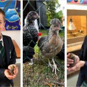 FRIENDS: Pupils from The Downs School with their new feathered friends