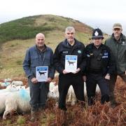 Police and Malvern Hills Trust workers call for dog owners to keep their pets on leads on the hills