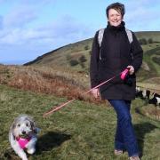The Malvern Hills Trust says dogs should be kept on leads near livestock