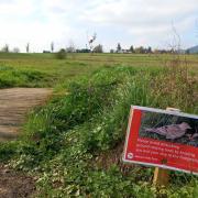 Signs have been put up in areas where birds are known to nest