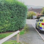 Police raided an address in Malvern yesterday