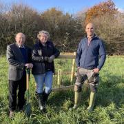 Between £200 and £10,000 is available from Malvern Hills District Council to plant community orchards