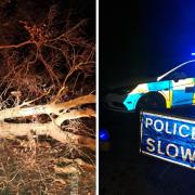 DOWN: Tree down in Callow End