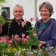 Wil Leaper [LEFT] and Bridget Evans [RIGHT], owners of Caves Folly Nursery, are celebrating the company's 45th anniversary at this year's Malvern Spring Festival