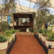 Graton Nursery has been awarded the top prize by the RHS