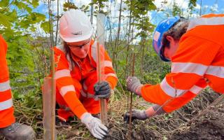A hedgerow has been planted at the station to enhance the environment and increase biodiversity