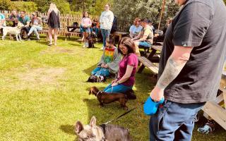 Lulsley's Fox & Hounds will host the dog show on Bank Holiday Monday