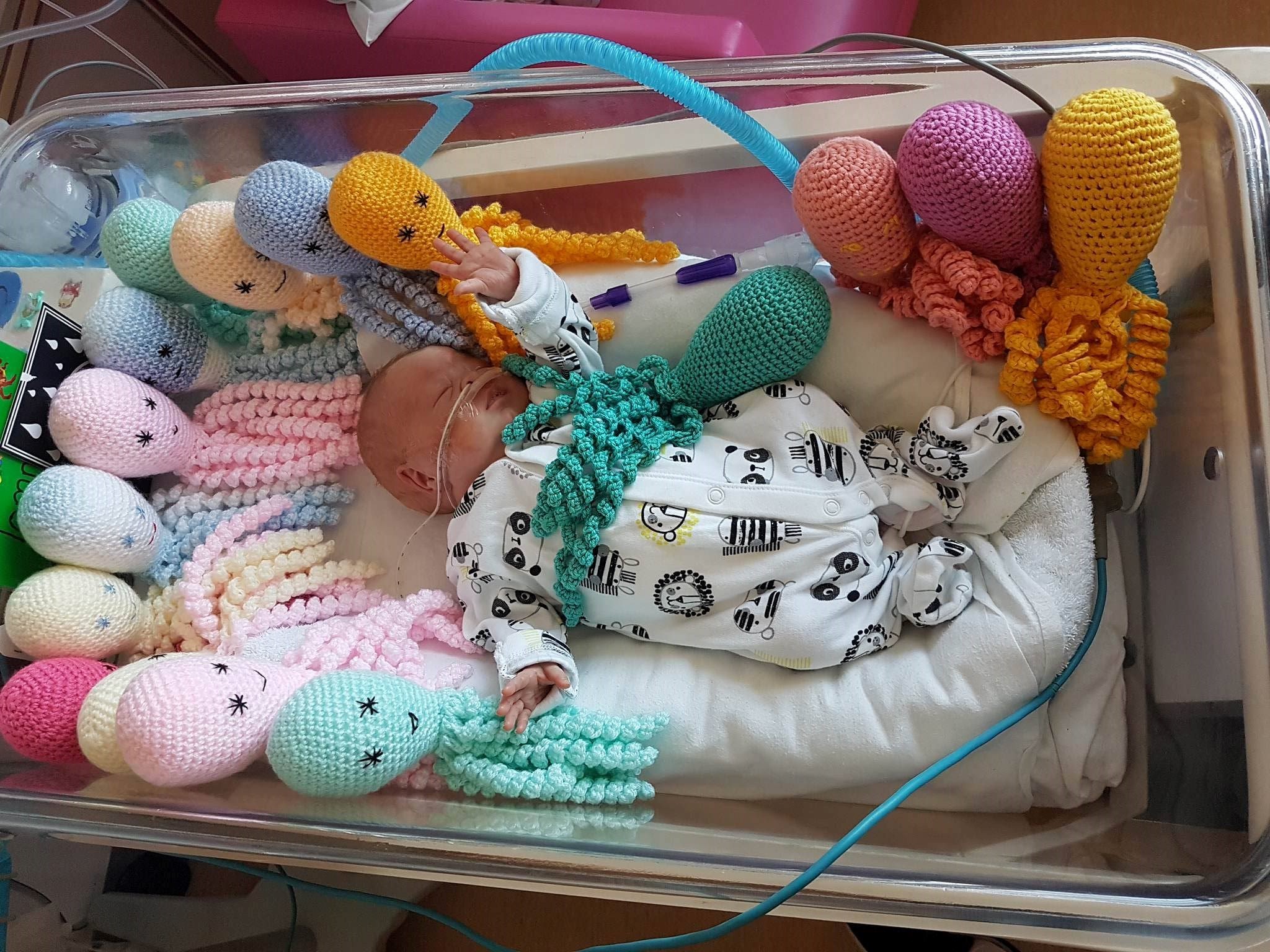 Incredible Response To Appeal For Knitted Octopuses For Premature Babies Malvern Gazette